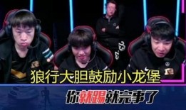 rng最新语音爆料了吗,揭秘战队内部动态与战术策略